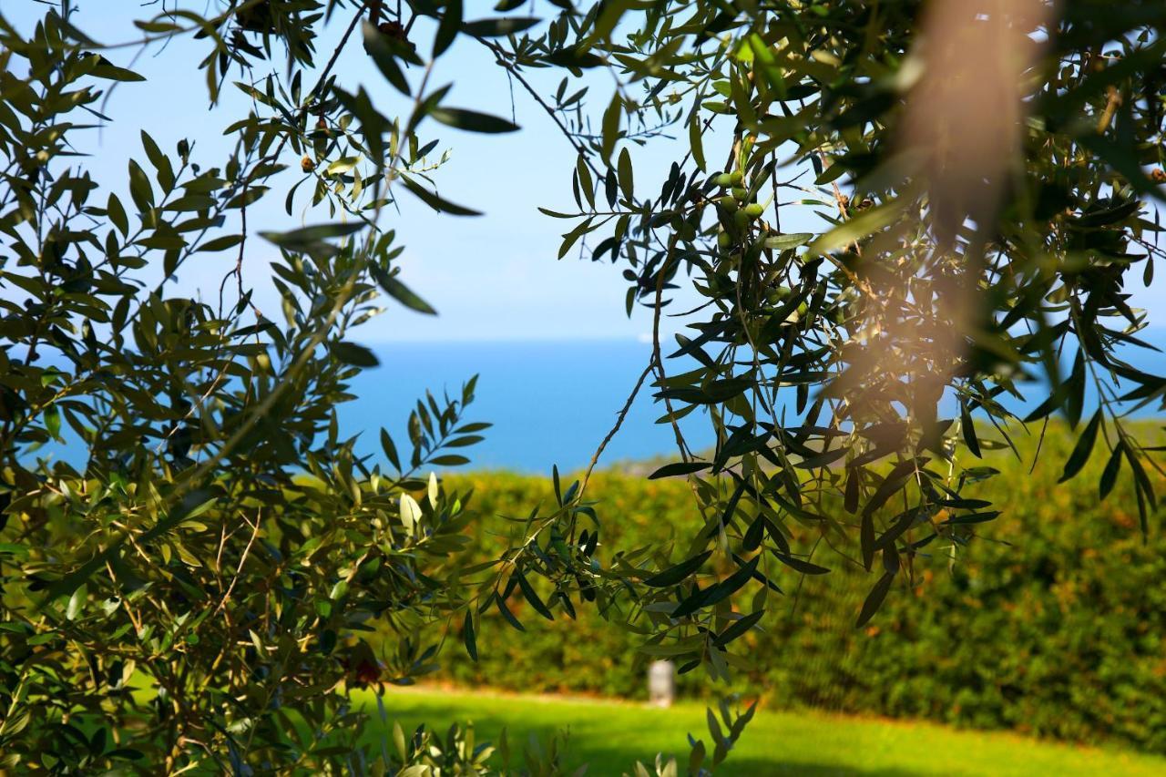 Casale Del Mare Villa Castiglioncello Bagian luar foto