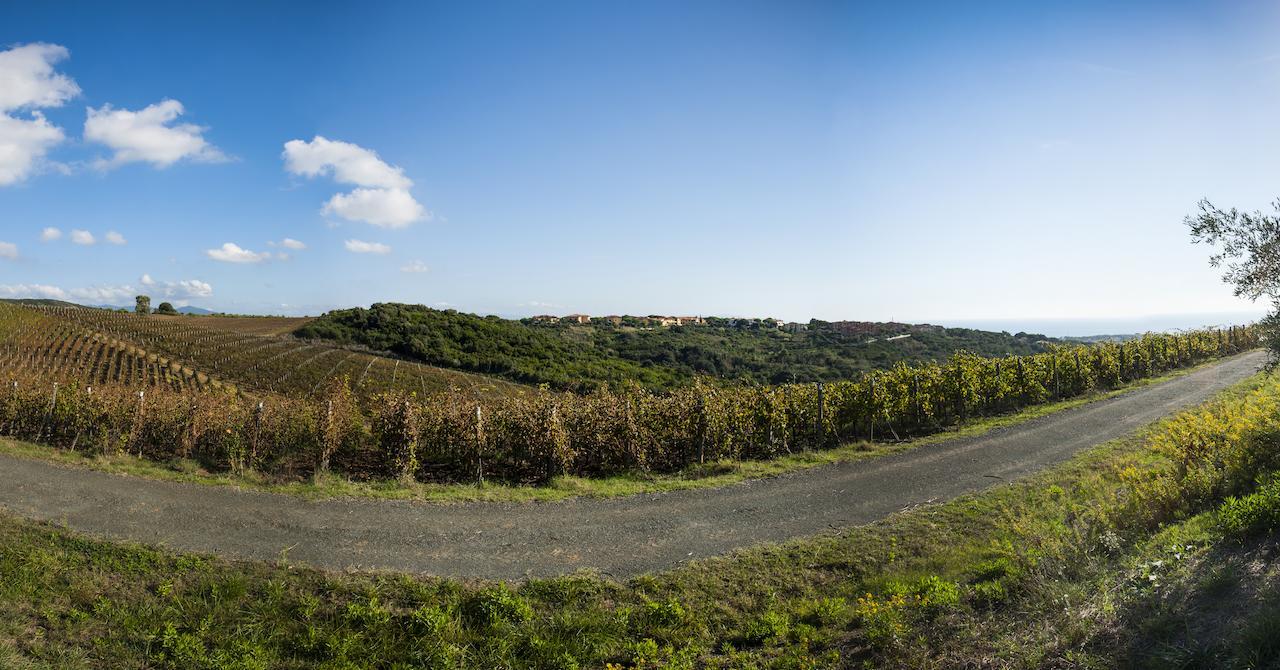 Casale Del Mare Villa Castiglioncello Bagian luar foto
