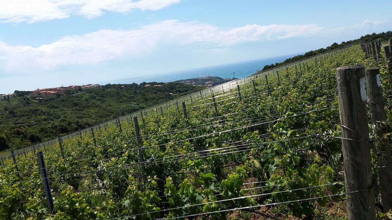 Casale Del Mare Villa Castiglioncello Bagian luar foto